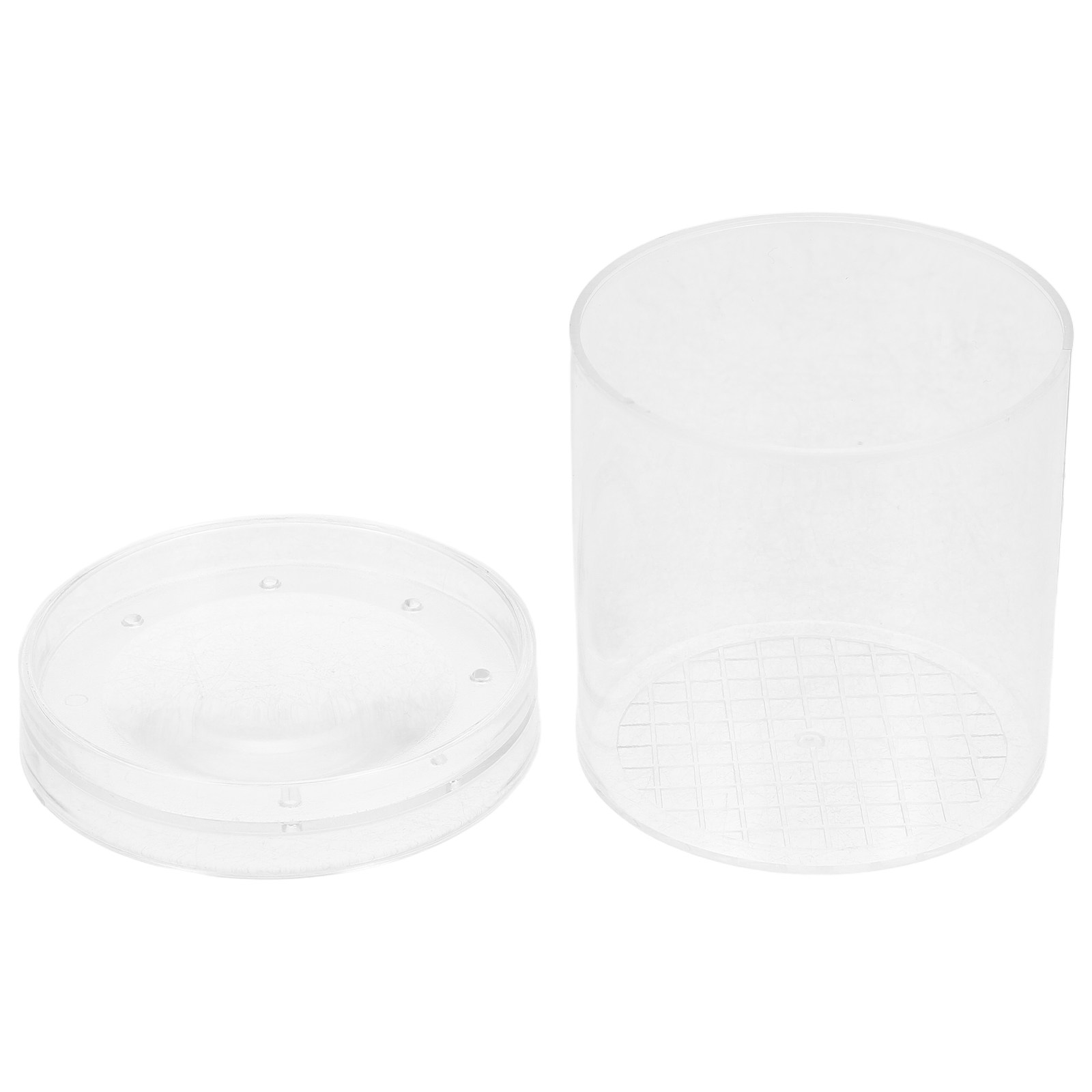 Science Toy - Caja de Observación de Insectos con