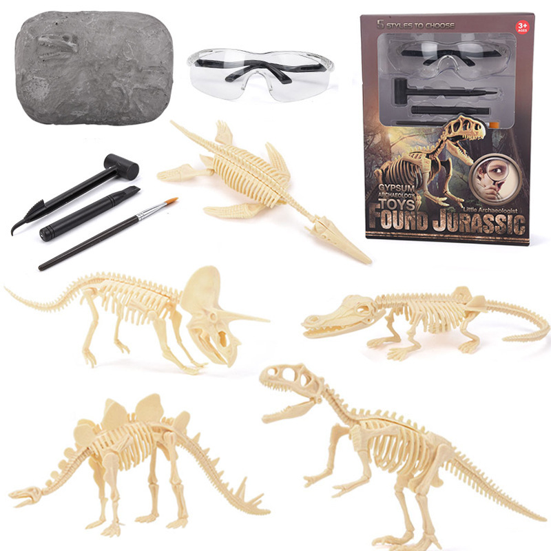 Science Toy - Kit de Excavación de Fósiles de