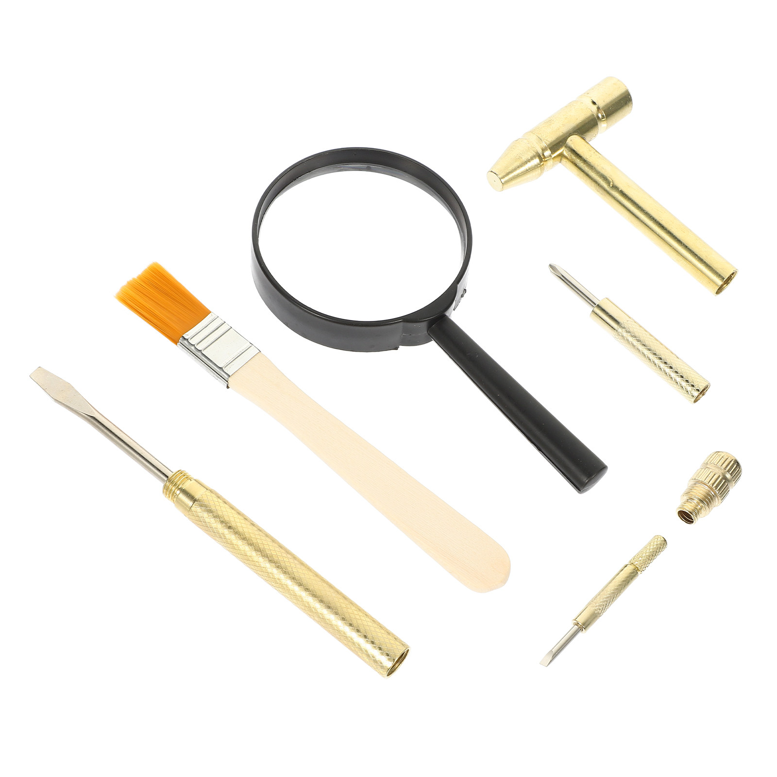 Science Toy - Juego de Herramientas de Excavación para