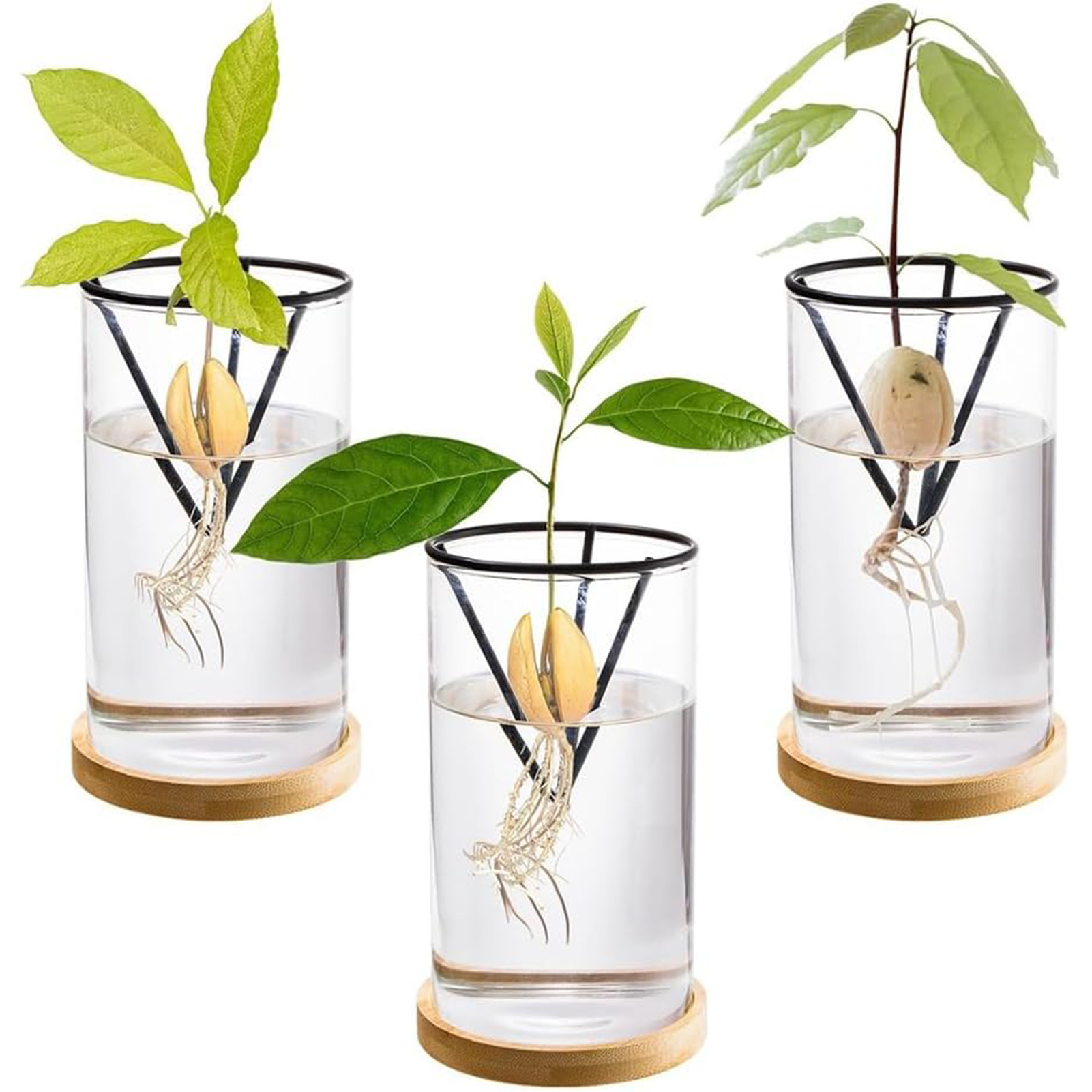 Juego de Kits de cultivo de ár - Crystal Growing Kit reseña y precio