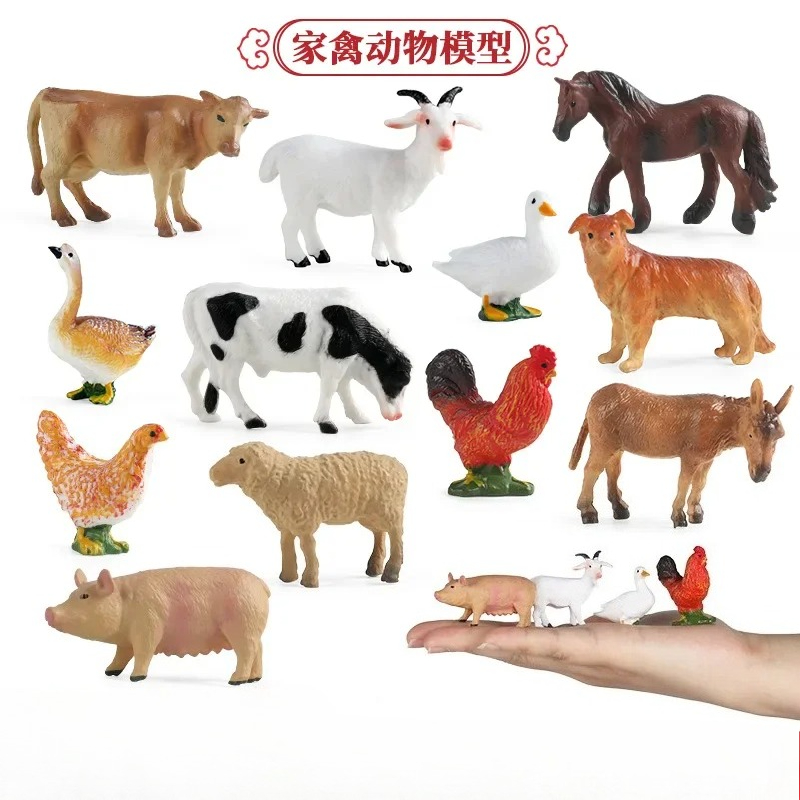 Herramienta de enseñanza educa - Science Toy reseña y precio